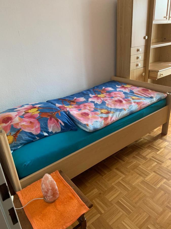 Reichenbach Apartment Бад Райхенхал Екстериор снимка